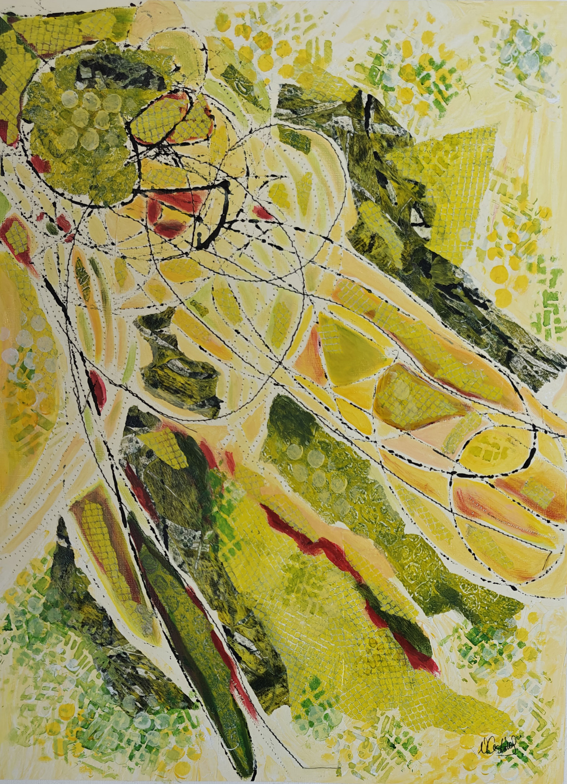 Lignes de vie 3